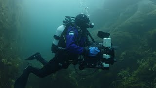 Exploring Greenland's Icy Waters