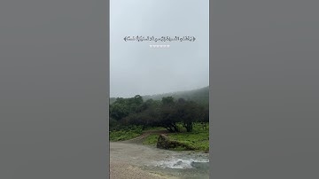 #اكسبلور #يصلك #قُرآن #لايك #المصحف #تلاوة_خاشعة #تلاوة_هادئة #راحة_نفسية #وخشعت_الأصوات__للرحمن