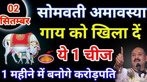 2 सितम्बर सोमवती अमावस्या के दिन गाय को खिला दें ये 1 चीज गौ माँ से जो माँगोगे वह पुरा ही होगा..