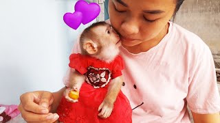 Baby monkey Lyly is very smart and has learned to peel longan very quickly