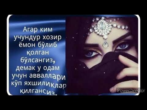 Майями кишит продажными незнакомками Майями кишит продажными незнакомками