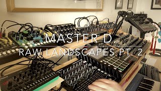 Raw landscapes Pt. 2 - dawless techno live jam