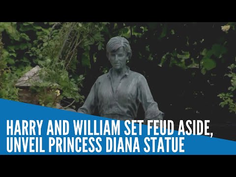 Harry and William set feud aside, unveil Princess Diana statue