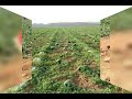 خيرات البلاد بالمنطقة دكالة
