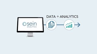Famous SEIN Analytics Product Demo Profile