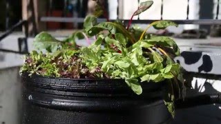 What is Stormwater Runoff? (Trailer)
