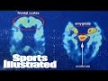 Supreme Court Asked To Reject $1 Billion NFL Concussion Settlement | SI Wire | Sports Illustrated