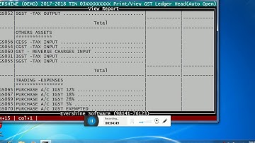 Evershine Software GST BILL