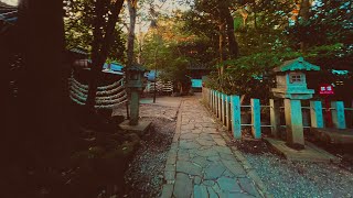 東海オンエアてつや大絶叫‼︎…ヤバすぎる〇〇を見てしまいました…‼︎