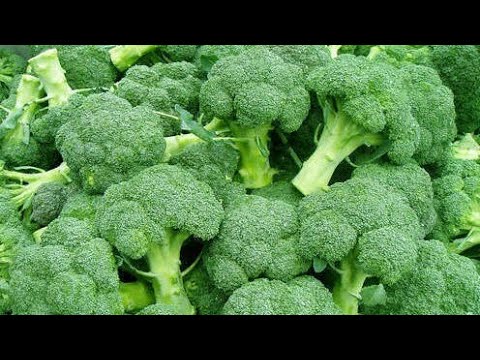How To Get That Bitter Taste Out Of Fresh Broccoli