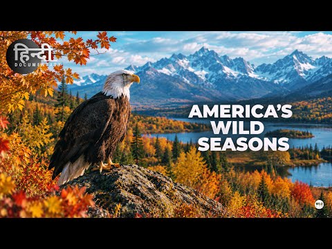 America's Wild, Autumn - हिन्दी डॉक्यूमेंट्री | Wildlife documentary in Hindi