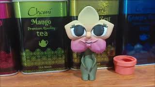 Orchid Sunday: Blooms, New Finds & Show News! September 6, 2026