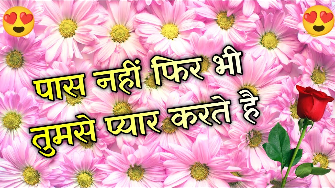 Hum aapse bahut pyar karte hai | Romantic shayari video | Love Hindi shayari video