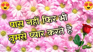 Hum aapse bahut pyar karte hai | Romantic shayari video | Love Hindi shayari video screenshot 4