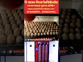 #incubator #chickencoop #hatchingeggs #chickenfarm #ইনকিউবেটর #machine #eggincubator