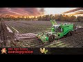 Potato harvest 2021 at van den borne aardappelen