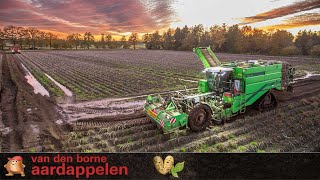 Potato harvest 2021 at Van den Borne Aardappelen