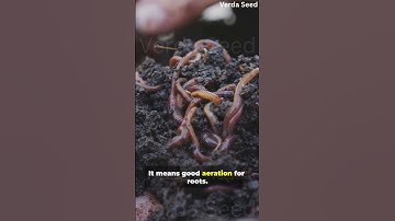 Is Your Soil Alive or Dead? 🌱 Here’s How to Tell!