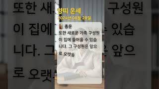 #양띠운세 #오늘의운세 #내일의운세 #띠별운세 #로또번호 #로또추천 #양띠