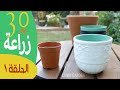 إزرع بيتك ٣٠ يوم زراعة للمبتدئين الحلقة ١ المصطلحات 