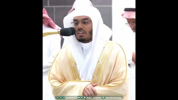 وَقُل رَّبِّ زِدۡنِي عِلۡمٗا~تلاوة هادئة لفضيلة الشيخ أ.د ياسر الدوسري