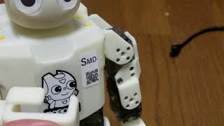 ROBOTIS DARwIn MINI 3D PRINT DAMMY