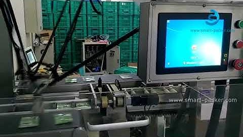 Spider type robot hands high speed bag sorting picking feeding for cartoning machine encasing line