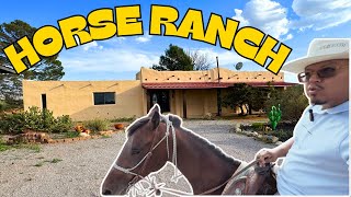 Discover This Las Cruces Horse Ranch Paradise! 🐎 | Las Cruces NM | Mountain Views | LCNM Realtor