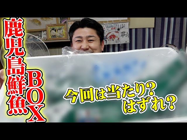 へんおじが食べたかったお魚が2匹入った鹿児島の鮮魚ボックスが最高だった！