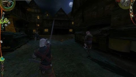 The Witcher - Funny bug!