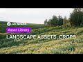900+ New Assets: Landscape, crops, and more | D5 Asset Library Updates