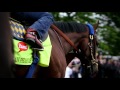The Breeders’ Cup … Legends Born and History Made