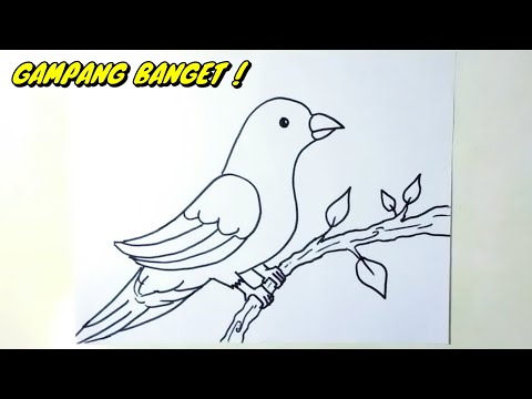 Video: Sangkar burung kayu lapis: ide, menggambar, petunjuk langkah demi langkah