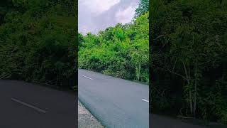 Jalan Desa yang Sejuk, Alam yang Menyegarkan #shorts #viral #trending