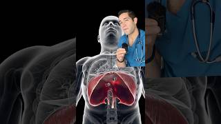 How Do Diaphragms Really Work?