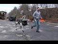 WATCH: A Robot That Just Won't Quit Even When It's Kicked : The Two-Way :  NPR