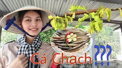 Canh Chua Lá ME NON nấu CÁ CHẠCH-Góc bếp quê- Nguyễn Ngọc Kiều