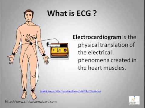 ECG Interpretation Video Lecture  Module 1 of 6