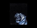 Porpleska - Light No Fire