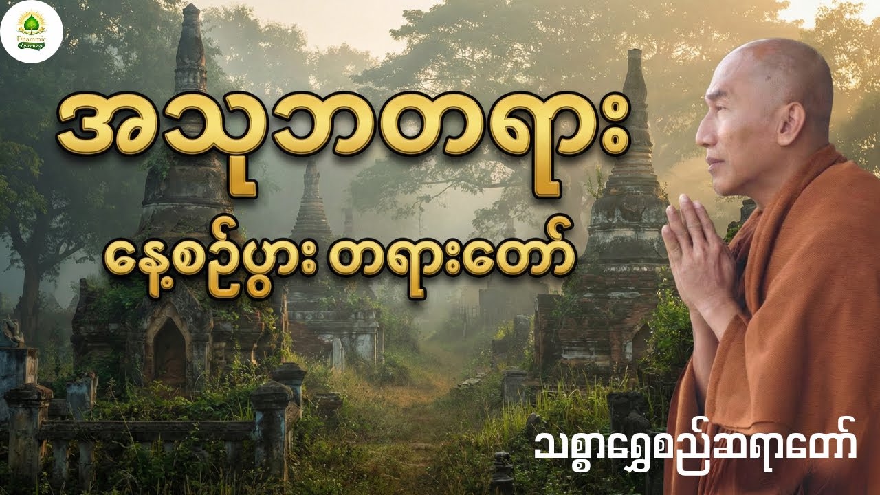 သစ္စာရွှေစည်ဆရာတော် ဟောကြားသော အသုဘတရားတော် | နေ့စဉ်ပွား နားထောင်ရန်  Dhamma Talk for Peaceful Sleep