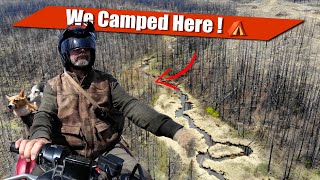 ATV Wild Camp Adventure: Overnight in a Burned Forest with My Dogs 🐶🐶