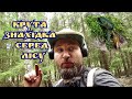 Десь Ми Близько...Крута знахідка посеред лісу!!! #Кощейх45 #Кощей #КопUA #СлаваУкраїні