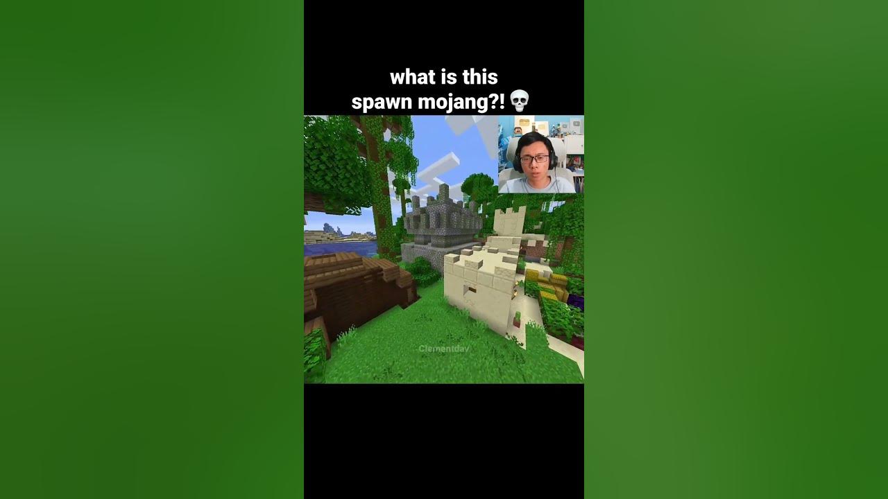 Minecraft Craziest Seed Moment