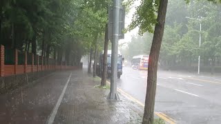 All Stop but Me Walking in the Heavy Rain. Relaxing Sound for Sleep Study Meditation. White Noise