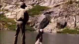 Part 2 of 3 -  Himalayan Snowcock