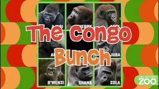 Meet the newest member of the Bachelor Troop: Zola!