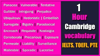 1 Hour of Cambridge Vocabulary for IELTS, TOEFL, and PTE