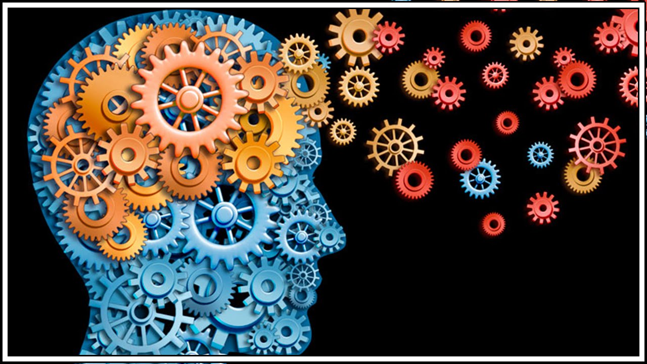 Reflexion Intense Soma 8 Youtube