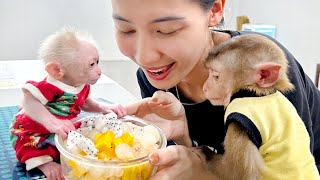 PiPi and TiTi's eager expressions when looking at the food Mom made