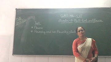 Class-4/EVS/Chapter-10/Plants:-Roots and flowers/Part-3
